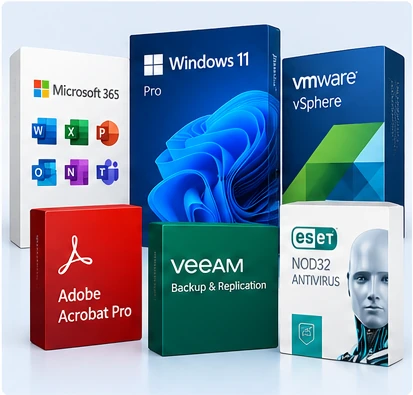 Enterprise software licensing and business applications